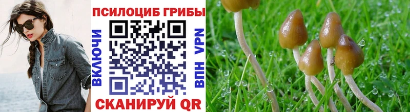 Псилоцибиновые грибы Psilocybine cubensis  Гусев 